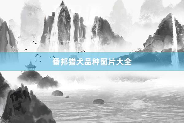 番邦猎犬品种图片大全